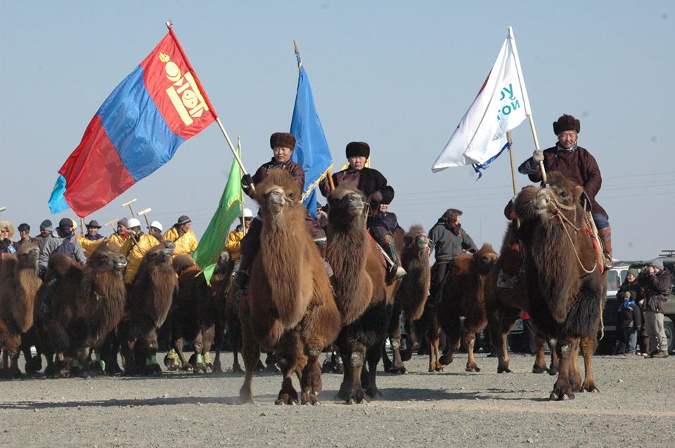 Thousand Camel Festival Mongolië