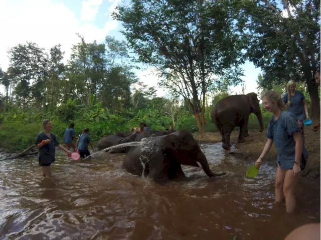 Baden met de olifanten - excursie via Elephant Nature Park Chiang Mai