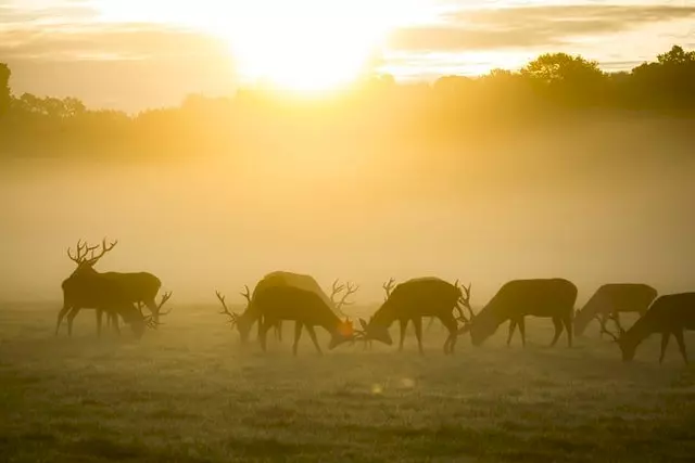 In de Ardennen op vakantie gaan