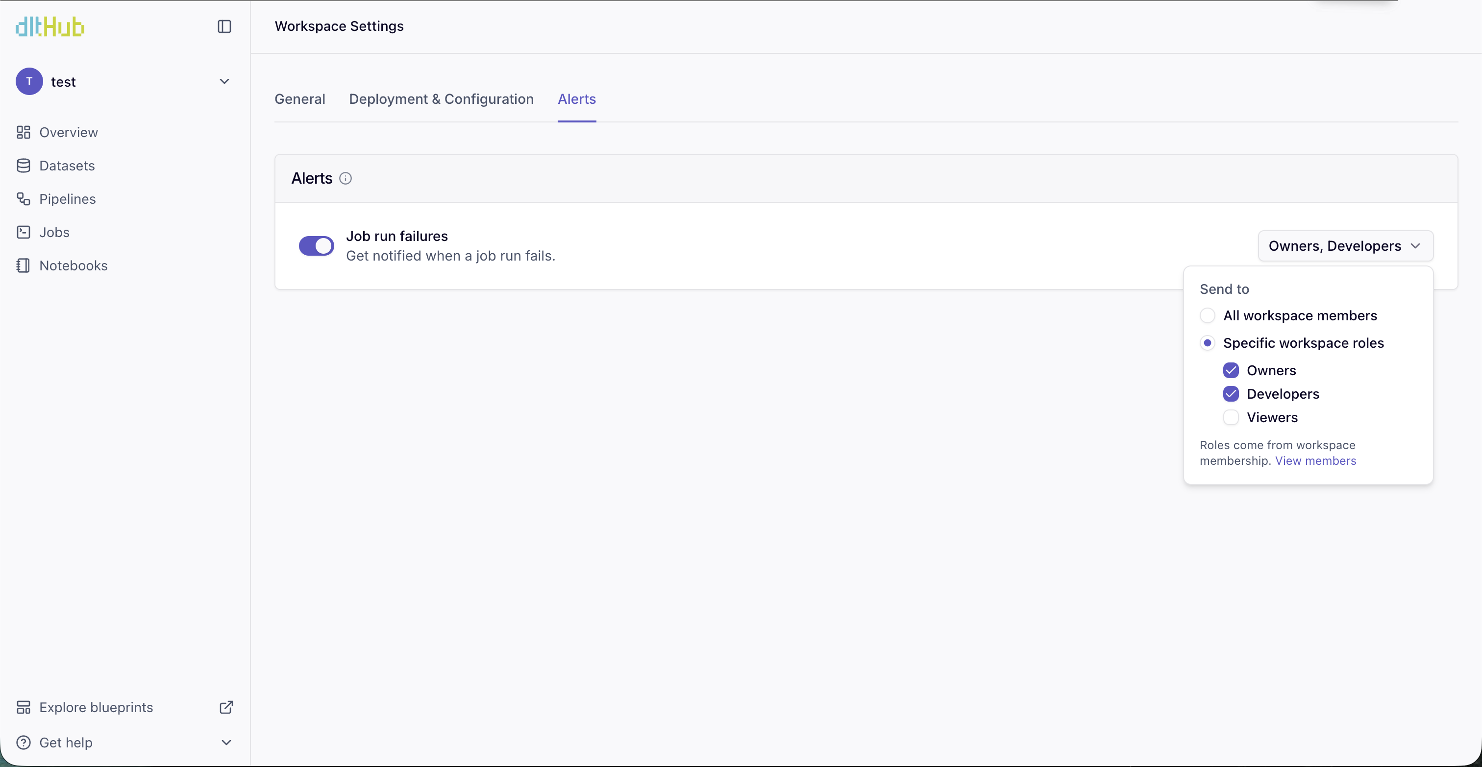 Alerts settings showing the job run failures toggle and role selection