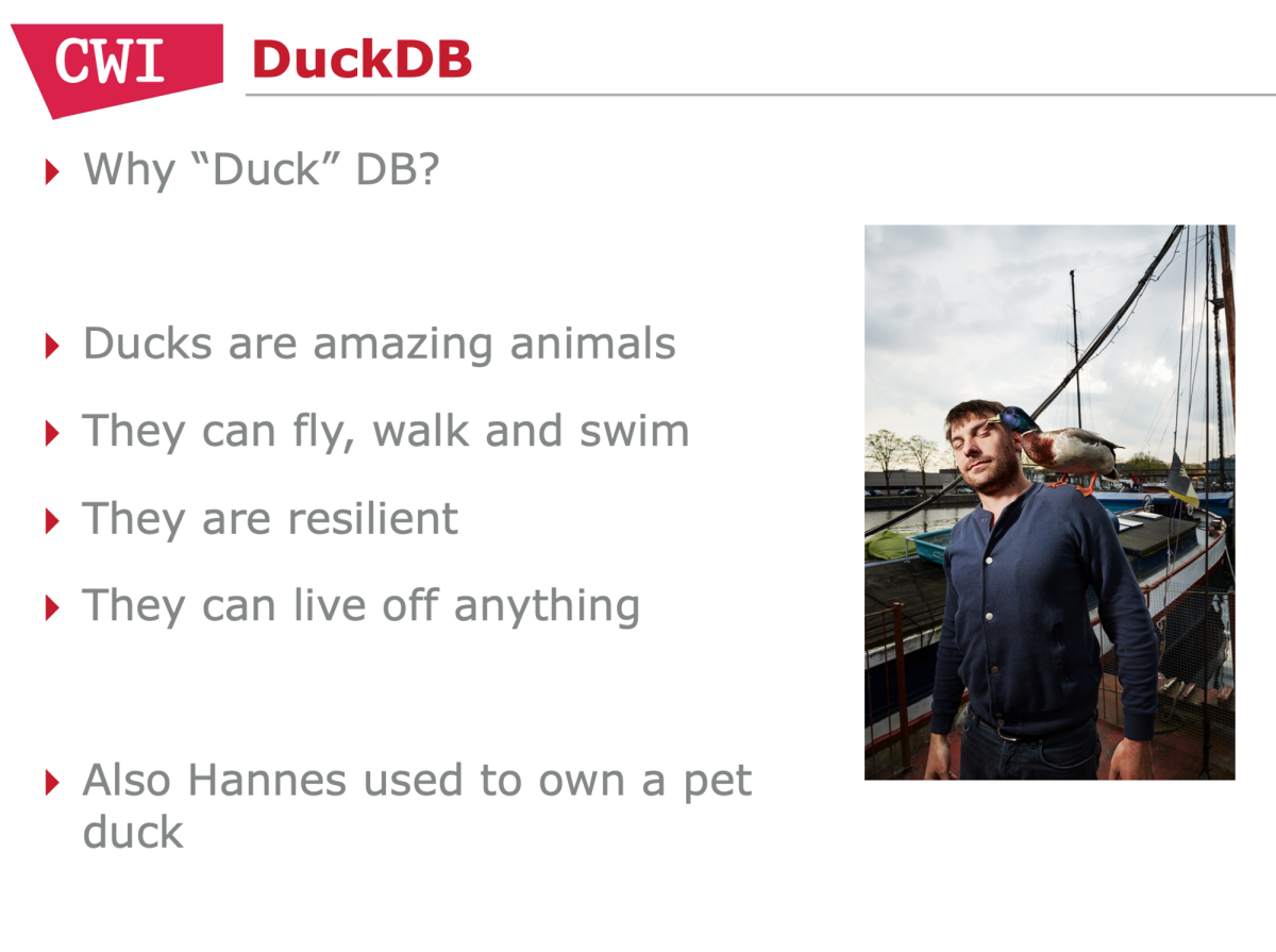 Why "Duck" DB?