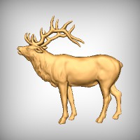 Elk