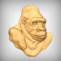 Gorilla