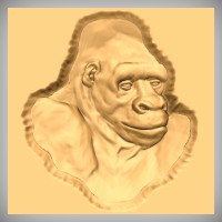 Gorilla