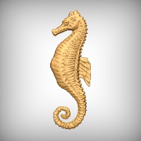 Sea Horse