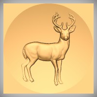 Deer 3