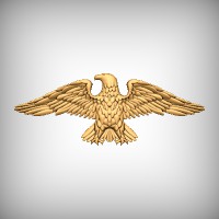 Military Eagle