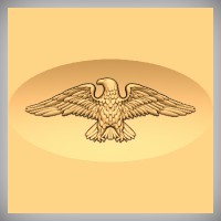 Military Eagle