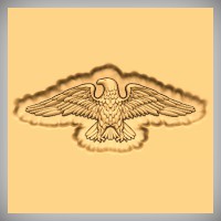 Military Eagle