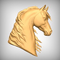 Horse Head 3