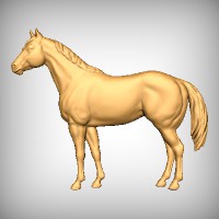 Quarter Horse