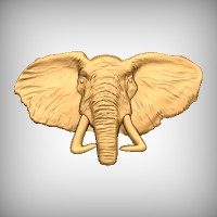 Elephant Head