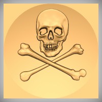 Skull and Cross Bones