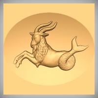 Capricorn