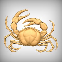 Cancer (Crab)