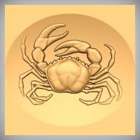 Cancer (Crab)