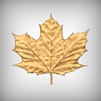 Maple Leaf