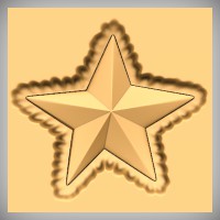 Rustic Star