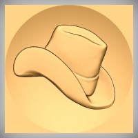 Cowboy Hat 2