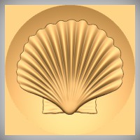 Scallop Shell