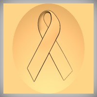 Honor Ribbon 2