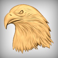 Eagle Head