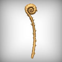 Fiddlehead 1