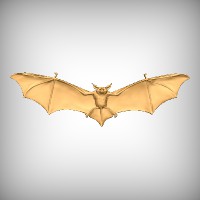 Bat