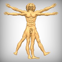 Vitruvian Man