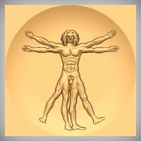 Vitruvian Man