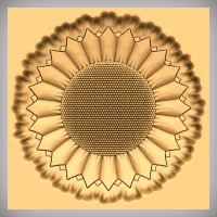 Stylized Sunflower