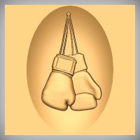 Boxing Gloves