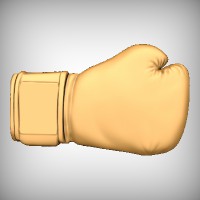 Boxing Glove 2