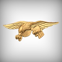 Military Eagle 2