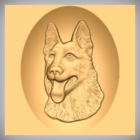 German Shepherd Head