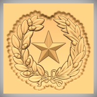 Texas Seal