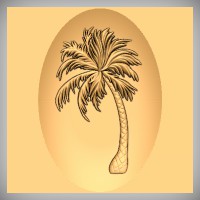 Palm Tree 2