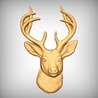 Deer Head