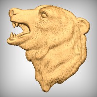 Bear's Head