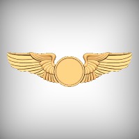 Military Wings