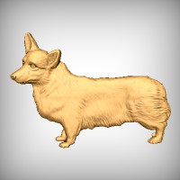 Welsh Corgi