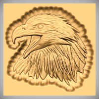 Eagle Head 2