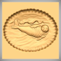 Sealion Oval