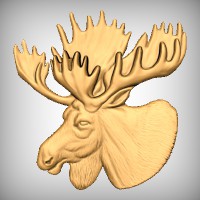 Moose Head