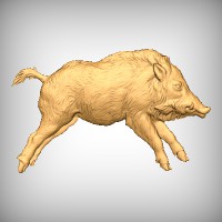 Wild Boar