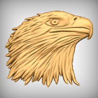 Eagle Head 3