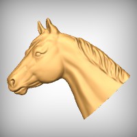 Horse Head 7