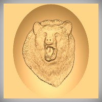 Bear's Head 2