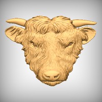 Bull Head