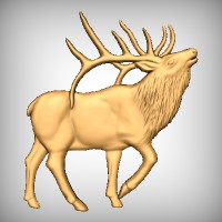 Elk 4